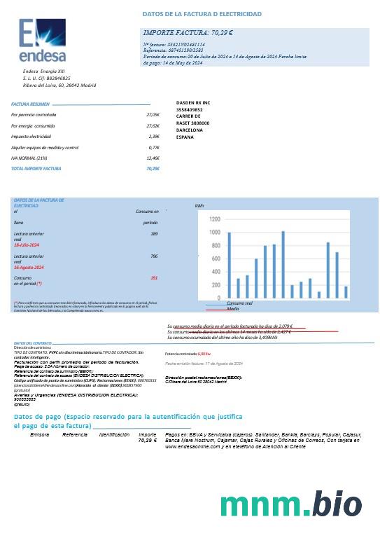 Hiszpania ENDESA rachunek za usługi komunalne Word and PDF template-pages1